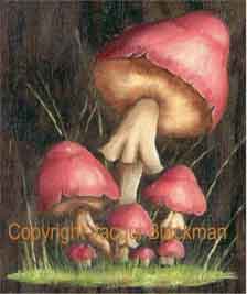 Tole Mushroom oils on chopping board