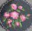 wild roses