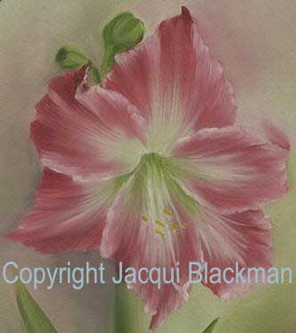 amaryillis painted wet-on-wet with oils on canvas