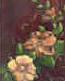 brown blossoms