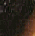 Burnt Umber PBr7