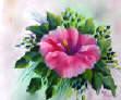 wet on wet flower painting