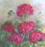 geranium flowers