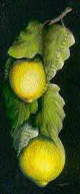 tole painted lemons