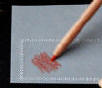 coloured pencil applied to parchment