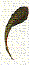round right comma