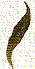 round s stroke