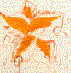 leaf centers