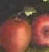 tole apples