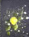 Tole painted Daisy and leaves with lemon